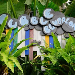 Bubble Resort Ko Tao