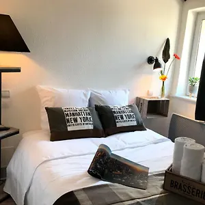 Des Bichonnieres 3* Ambérieux-en-Dombes